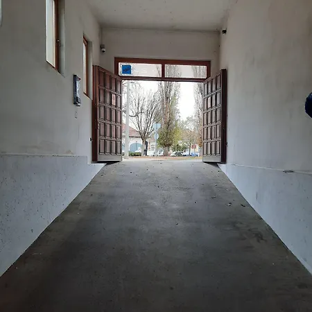 Vegvari Eğri